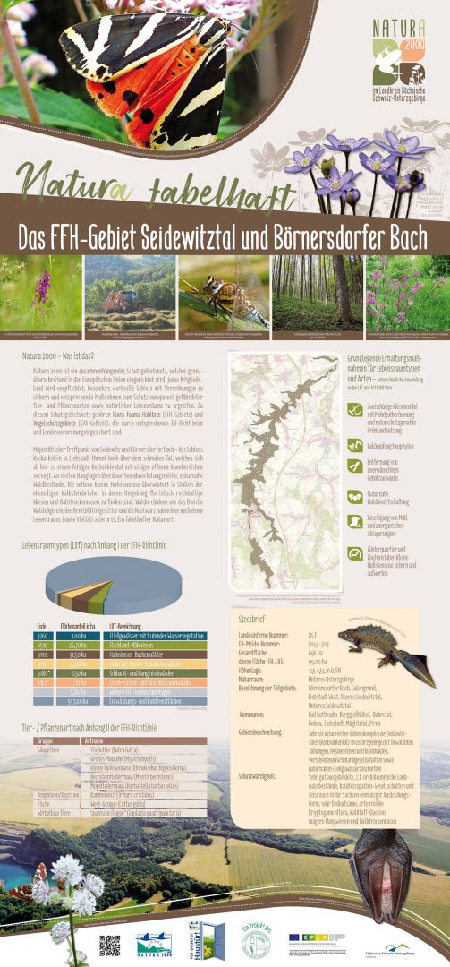 tl_files/downloads/Bilder Projekte/Projektstellen/Natura 2000 1.0/Rollups/LPV_Natura2000_seidewitztal.jpg